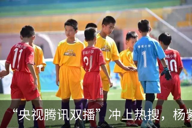 “央视腾讯双播”冲上热搜，杨紫这次押中的不只是大女主