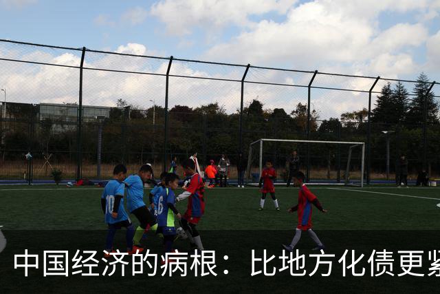 中国经济的病根：比地方化债更紧迫的是：居民化债 | 经济光明论（1）