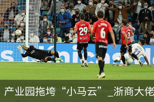 产业园拖垮“小马云” 浙商大佬被立案侦查
