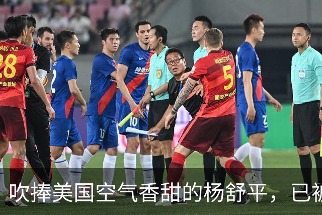 吹捧美国空气香甜的杨舒平，已被美国驱逐出境，回国后处境悲凉