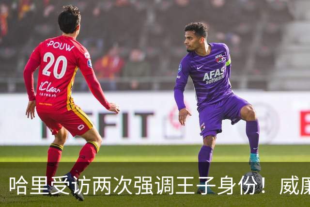 哈里受访两次强调王子身份！威廉被问称呼，却只说怎么合适怎么来