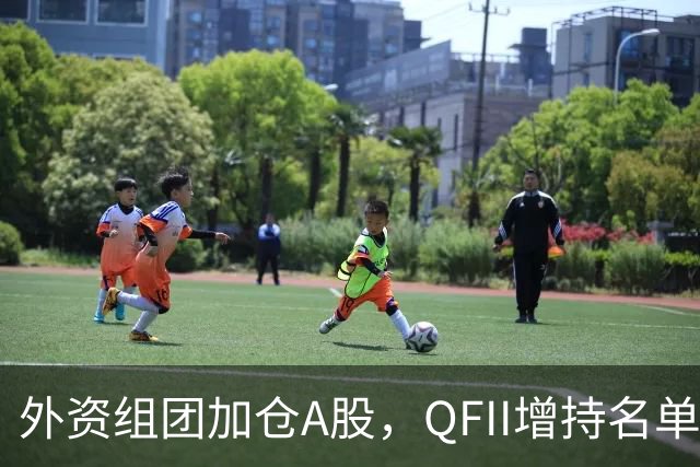 外资组团加仓A股，QFII增持名单曝光