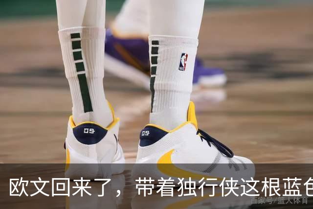 欧文回来了，带着独行侠这根蓝色骨头
