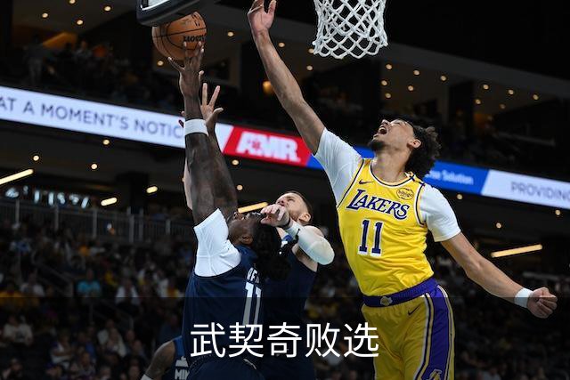 武契奇败选
