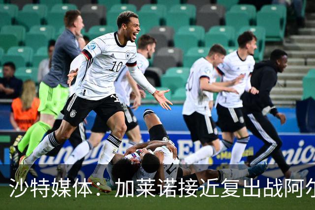 沙特媒体：加莱诺接近复出战阿尔沙巴布