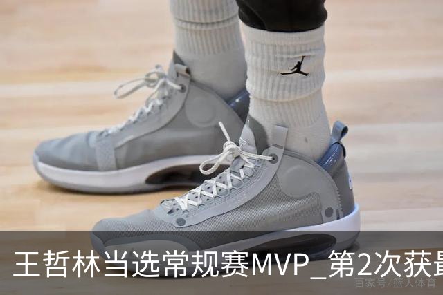 王哲林当选常规赛MVP 第2次获最有价值球员奖