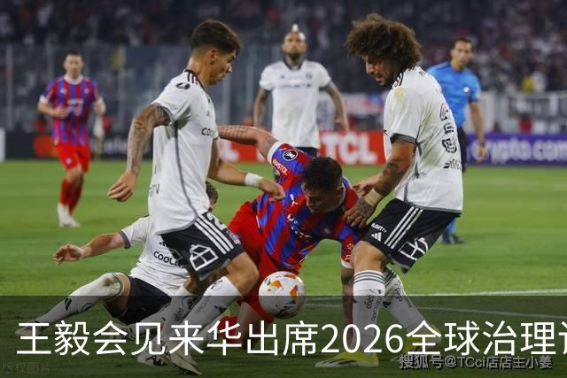 王毅会见来华出席2026全球治理论坛（雄安）的客人