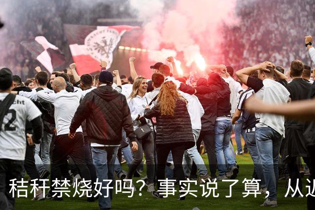 秸秆禁烧好吗？事实说了算，从近年蚯蚓鸟类和蛇类数量就可看出来