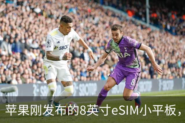 苹果刚发布的8英寸eSIM小平板，这价格是疯了吧