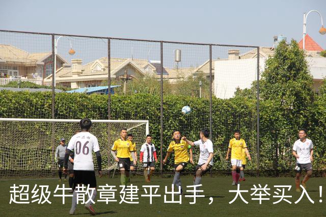 超级牛散章建平出手，大举买入！