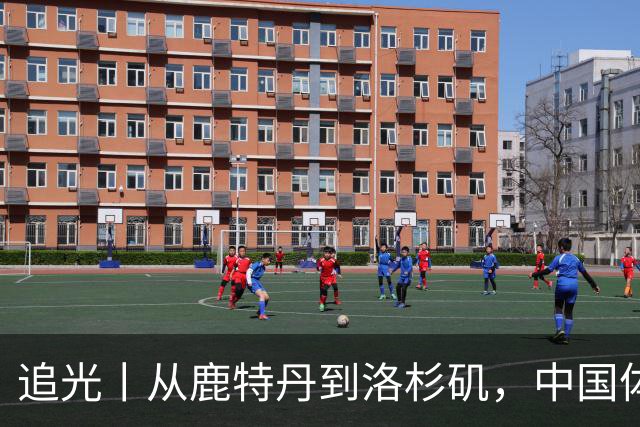 追光丨从鹿特丹到洛杉矶，中国体操还需答好三道题