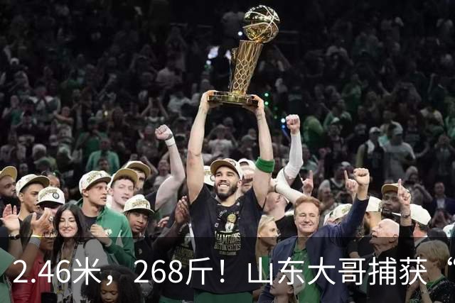 2.46米，268斤！山东大哥捕获“鲅鱼王”：常见鲅鱼仅几斤到十几斤，已被水产公司收购，将做成鲅鱼水饺